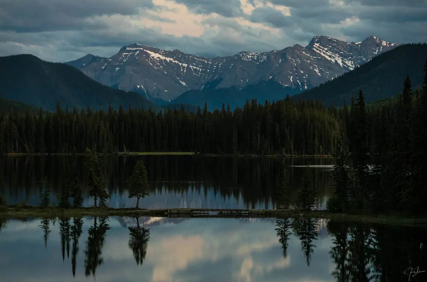 Pines and reflection, Landscape